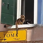 Homesweethome Venice